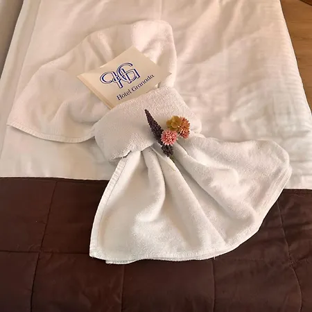 Granada Hotel 3*